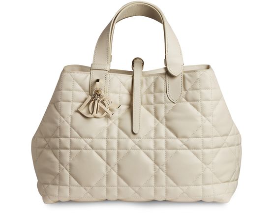 Medium Dior Toujours Bag