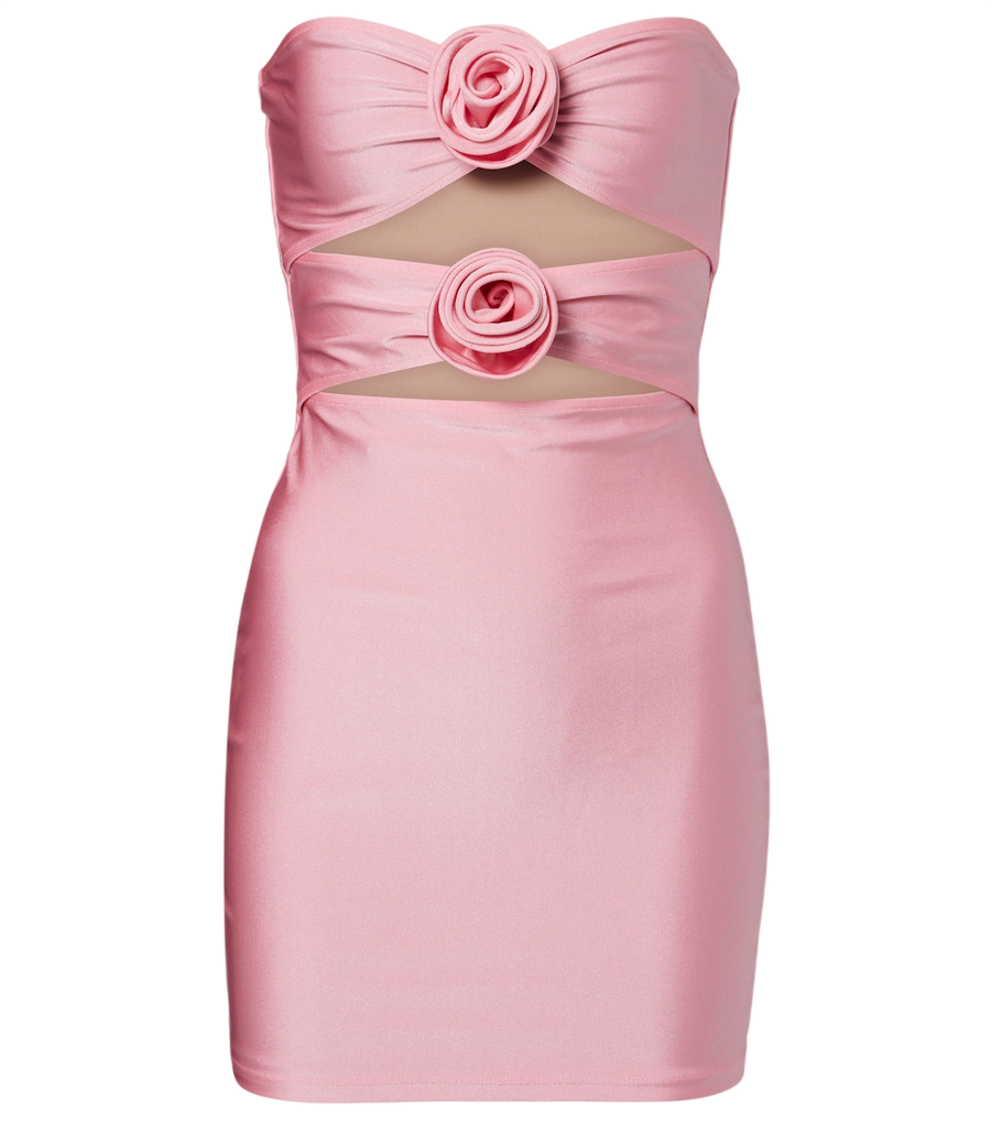 Adriana Degreas Cutout floral-appliqué minidress