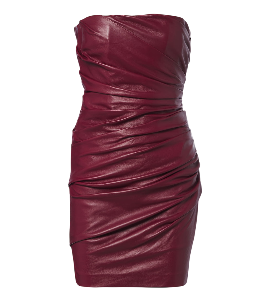 Alex Perry Ruched leather bustier dress