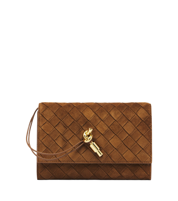 Bottega Veneta Pochette Andiamo in pelle scamosciata Intrecciato con cinturino