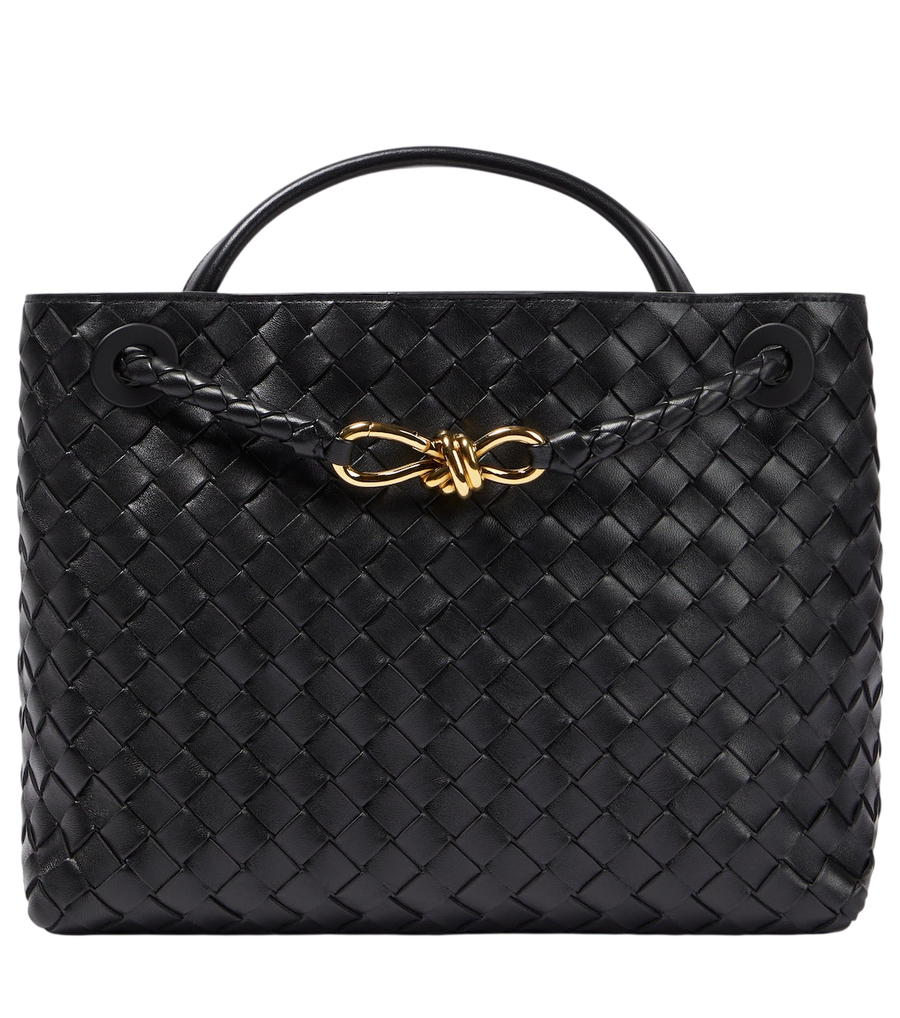 Bottega Veneta Andiamo Medium leather top-handle bag