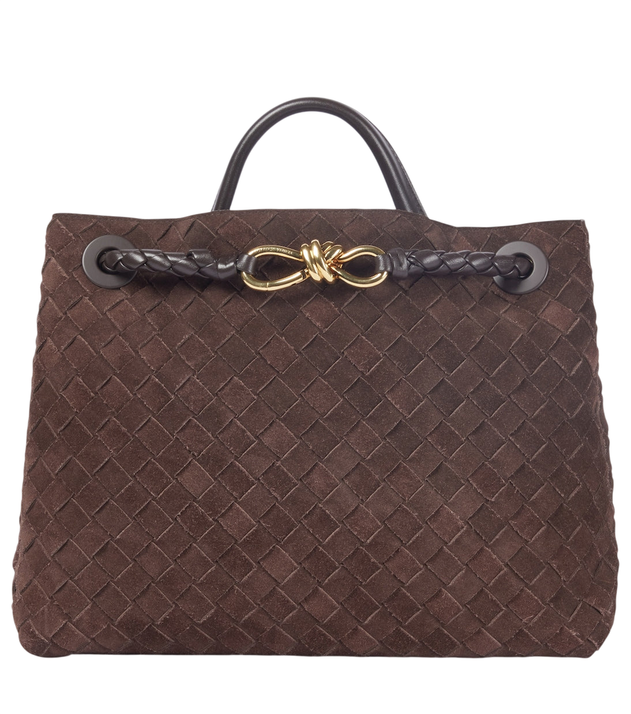 Bottega Veneta Andiamo Medium suede tote bag