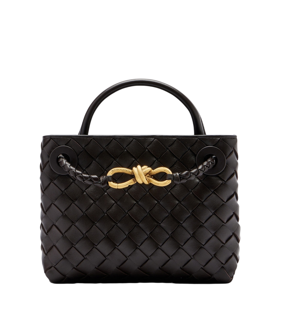 Bottega Veneta Andiamo Mini leather top-handle bag