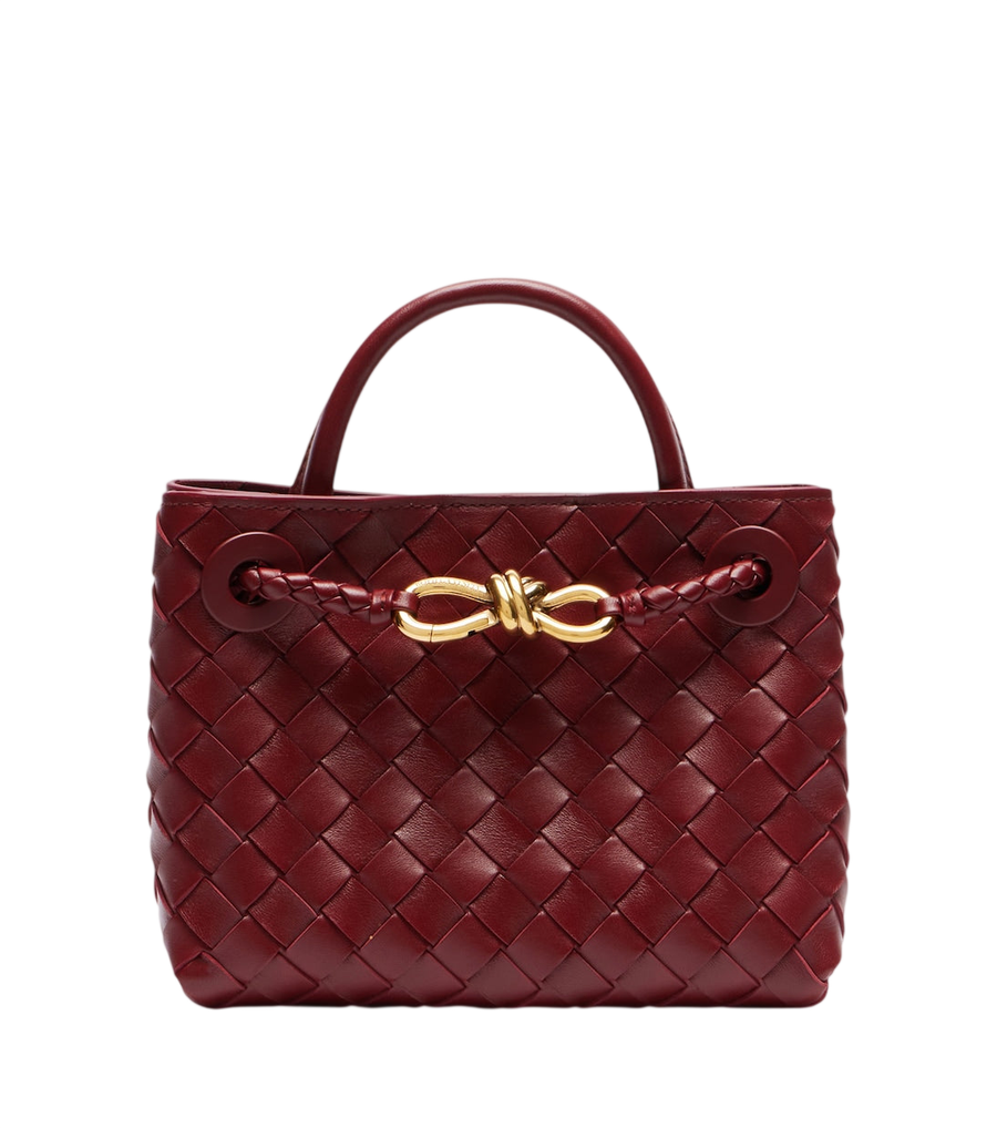 Bottega Veneta Andiamo Mini leather top-handle bag