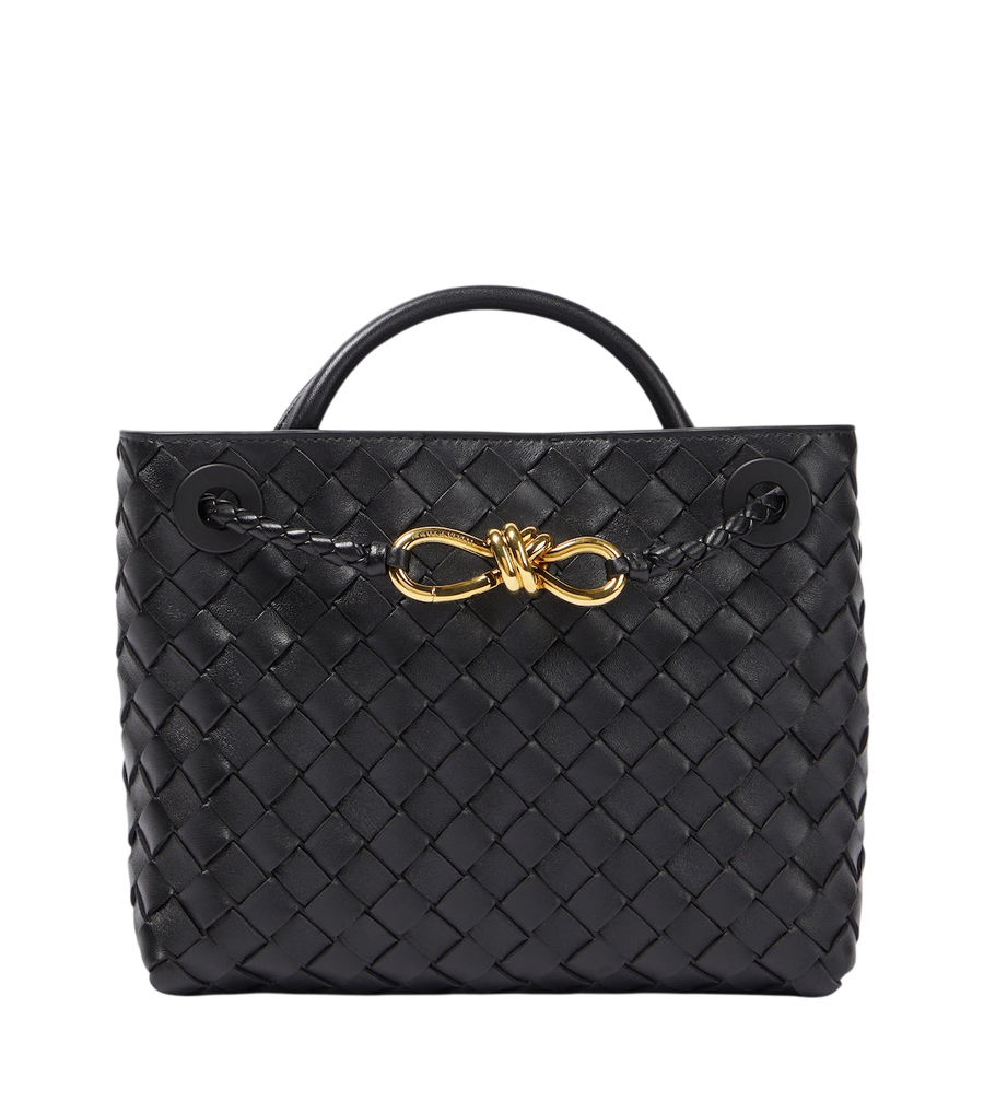 Bottega Veneta Andiamo Small leather tote bag