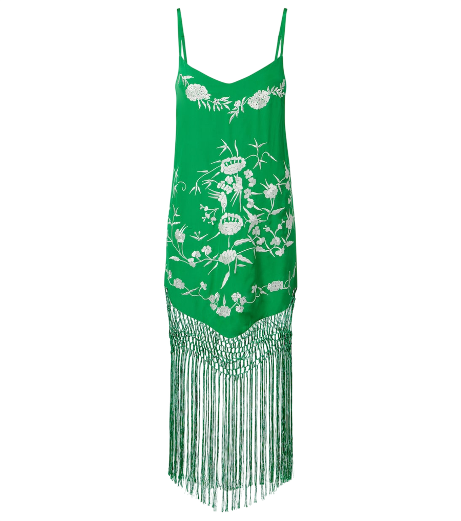Camilla Embellished embroidered fringed silk minidress