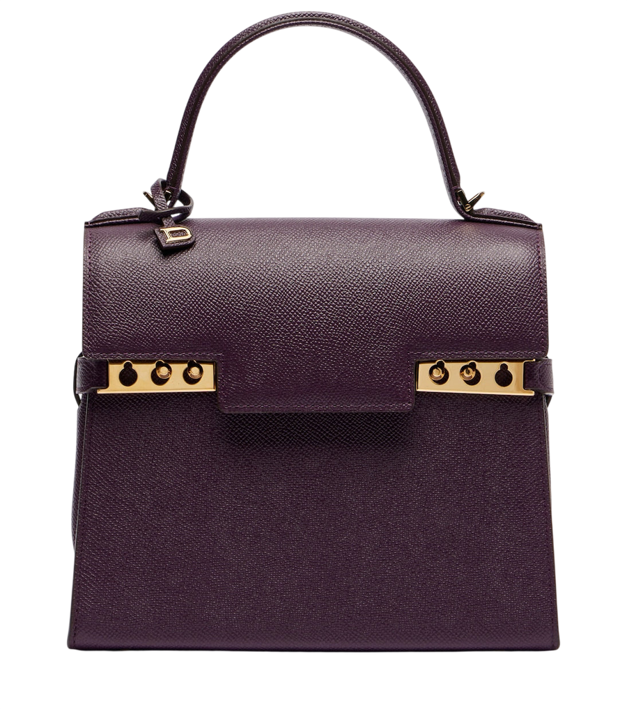 Delvaux Tempête PM leather top-handle bag