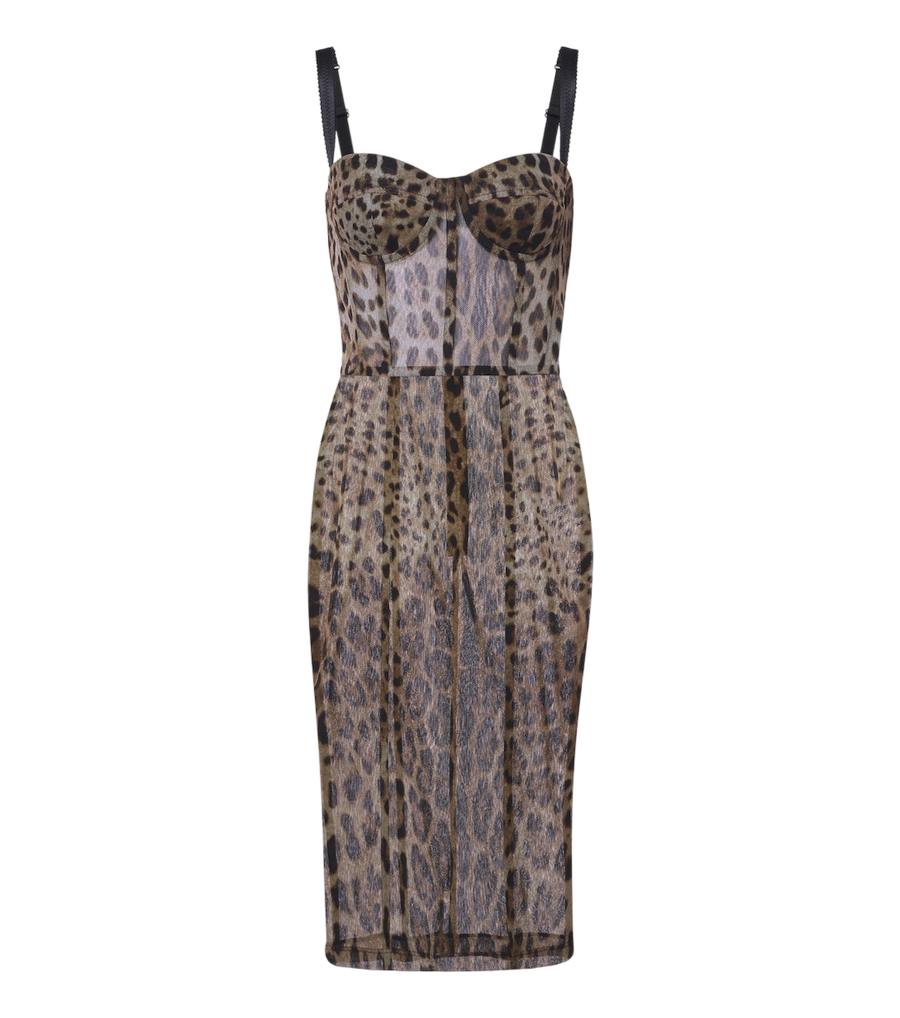 Dolce&Gabbana Leopard-print cotton and silk bustier dress