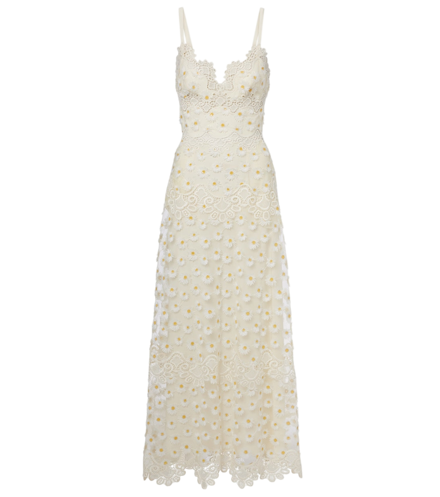 Elie Saab Abito lungo in tulle con pizzo guipure ricamato