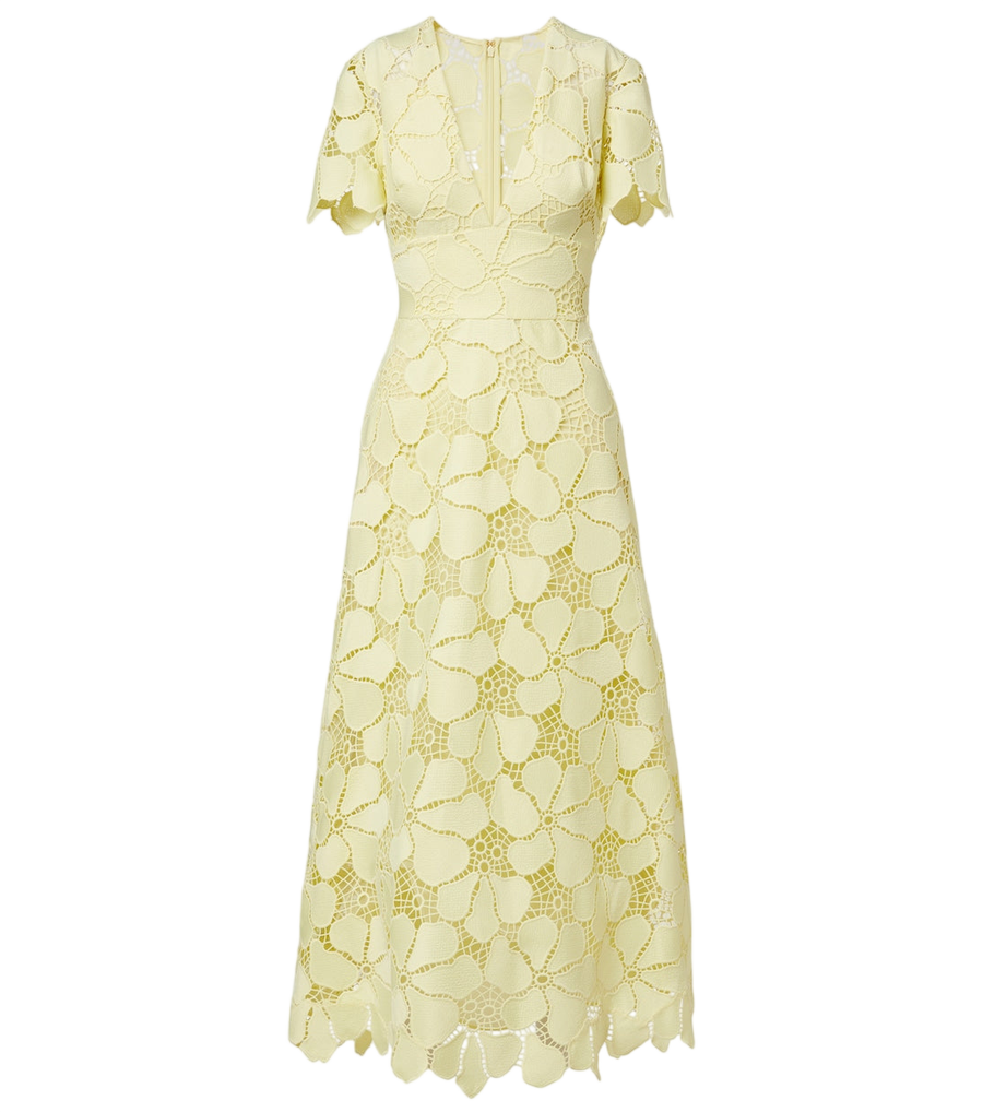 Robe midi en guipure mélangée de soie à motif floral Elie Saab