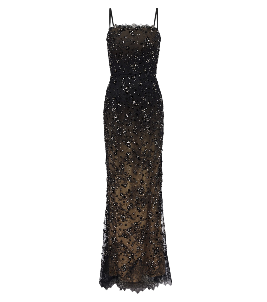 Elie Saab Sequined lace gown