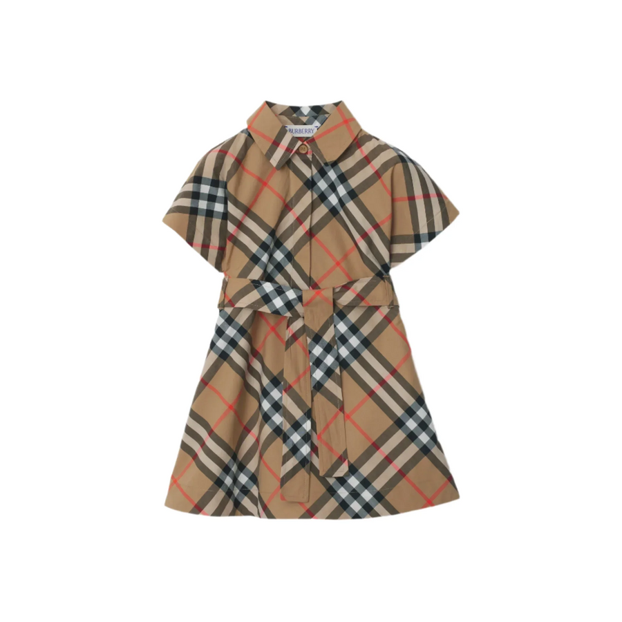 Burberry Check Cotton Shirt Dress