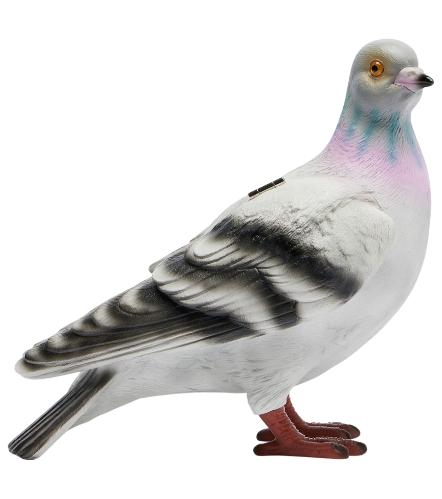 Frizione Pigeon JW Anderson