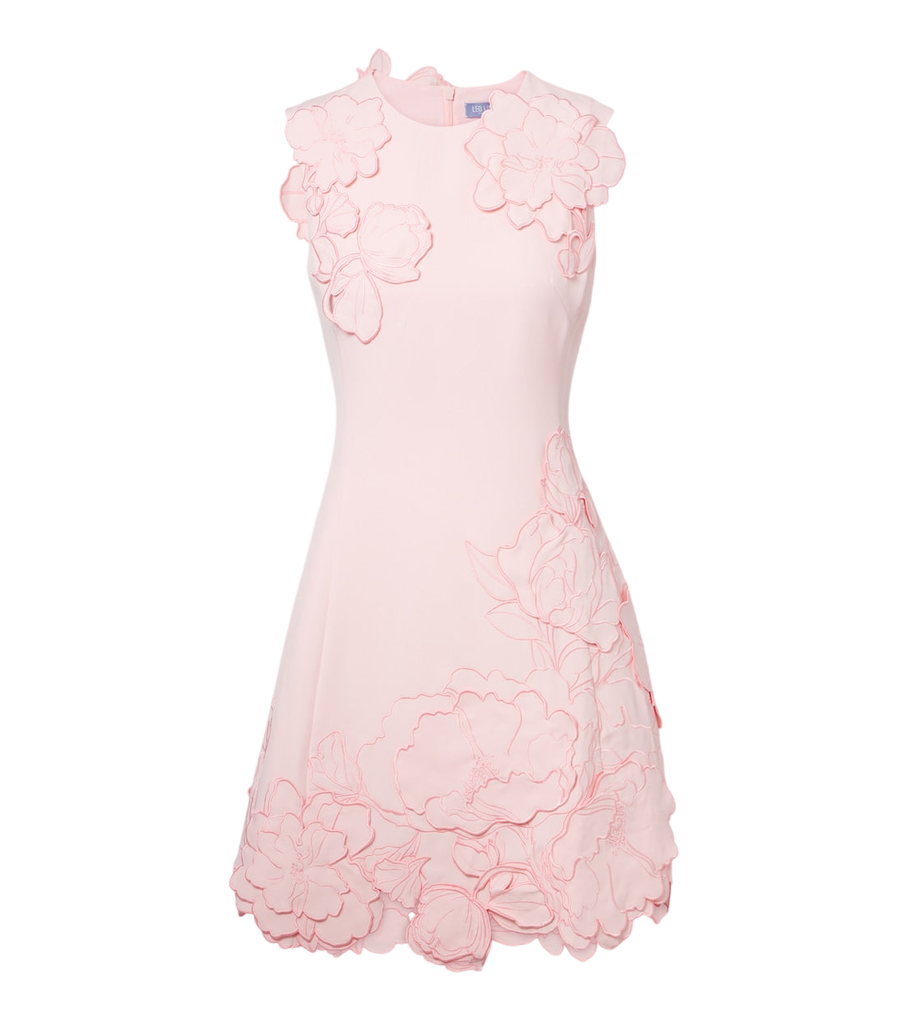 Mini-robe à appliqués floraux Leo Lin