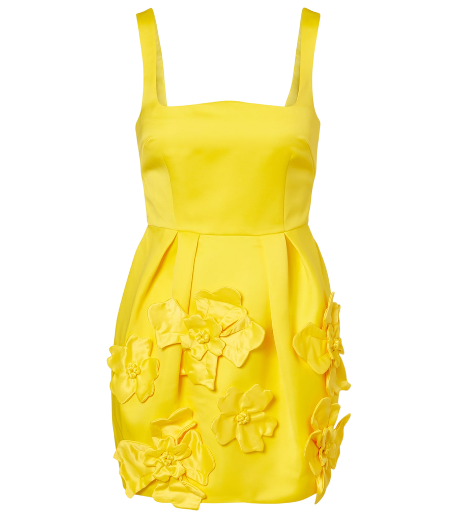 Mini-robe Leo Lin Piper à appliqués floraux