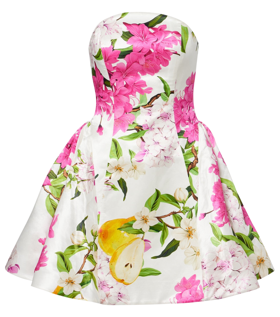 Leo Lin Reese floral linen and silk minidress