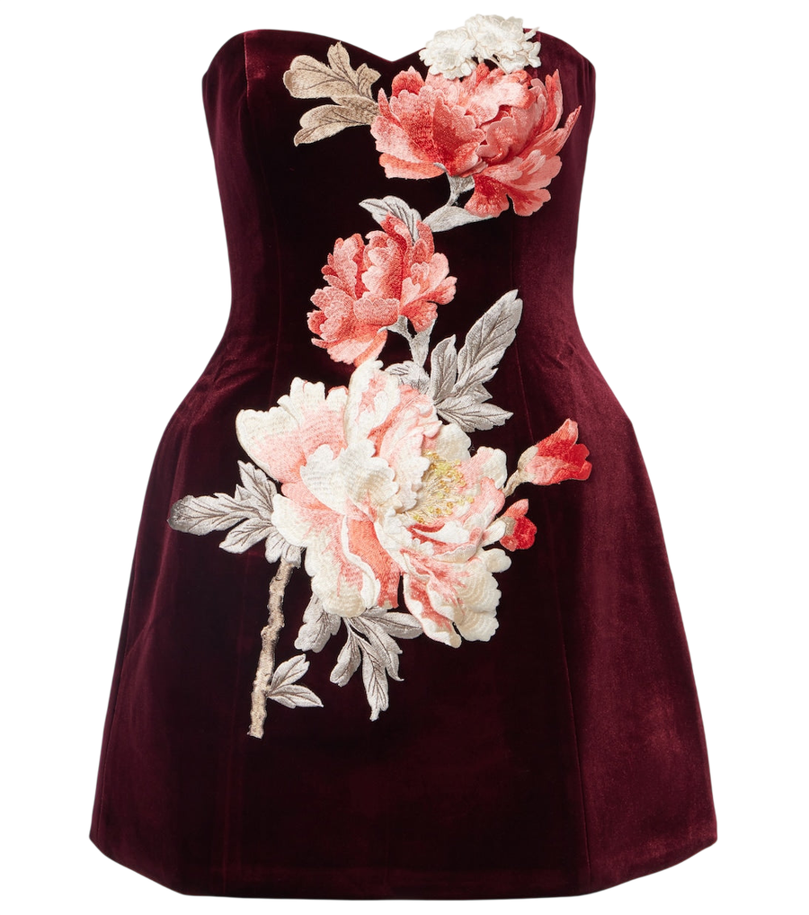 Leo Lin Rosario floral-appliqué velvet minidress