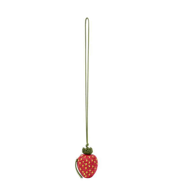 Loewe Strawberry raffia coin purse with strap