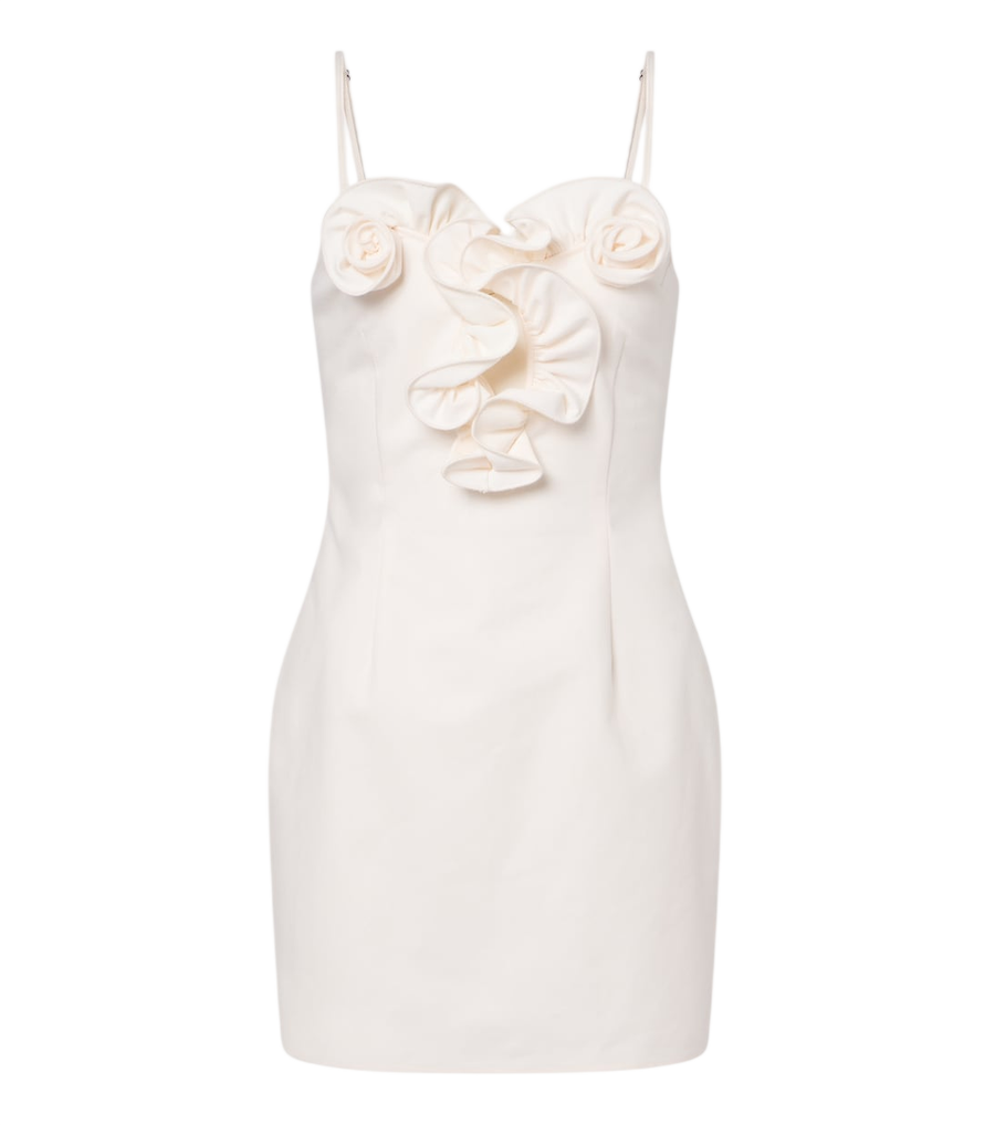Minivestido de algodón con aplicación floral de Magda Butrym