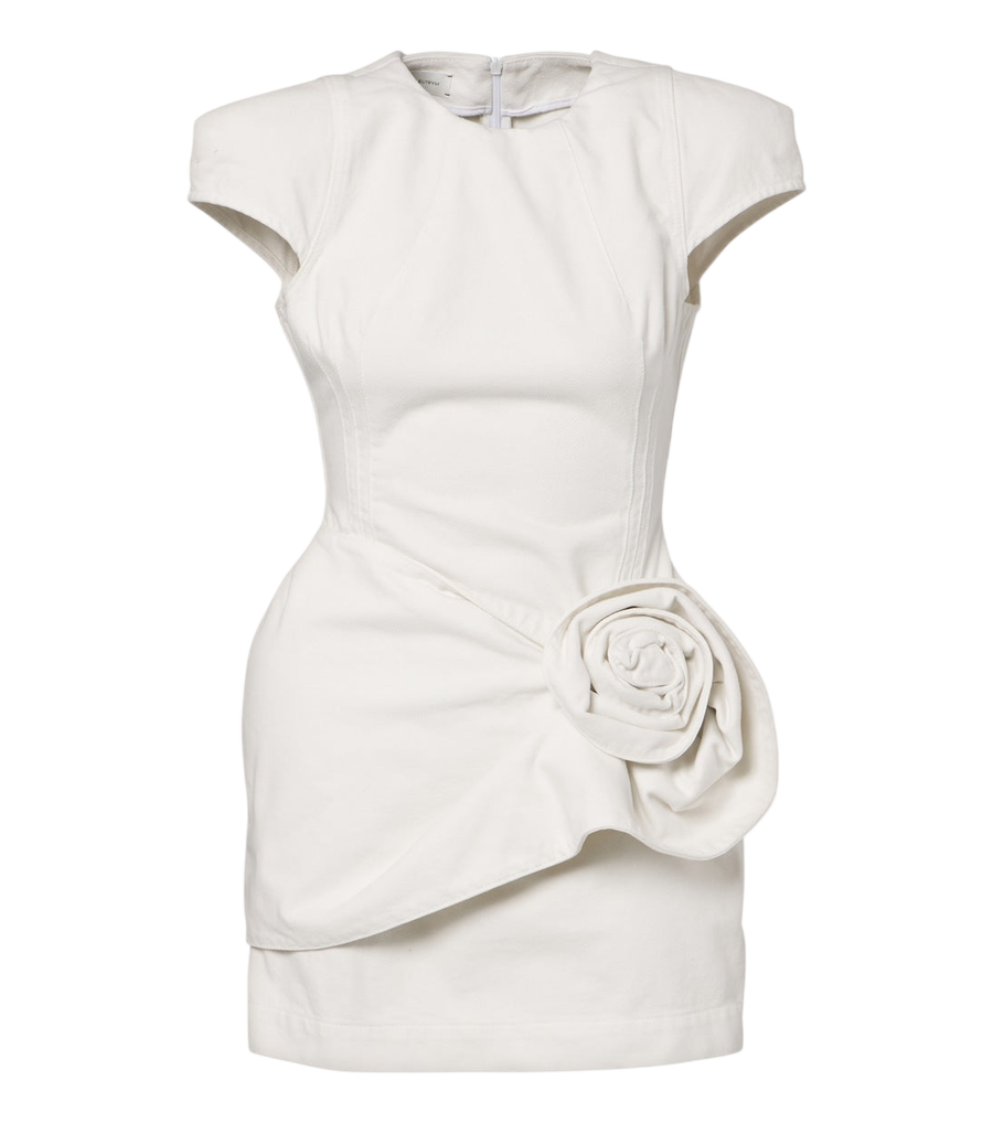 Magda Butrym Floral-appliqué denim minidress