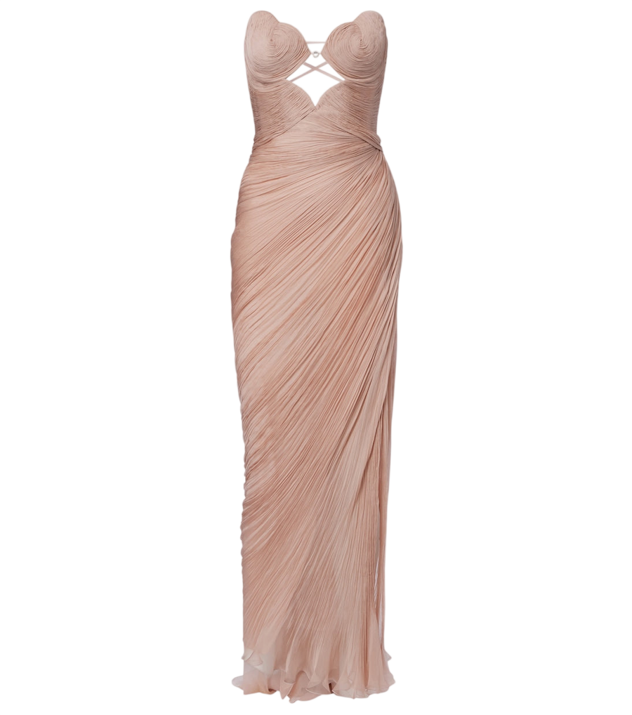Maria Lucia Hohan Ananda pleated silk muslin bustier gown