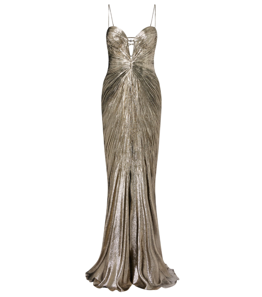Maria Lucia Hohan Dakota lamé chiffon gown
