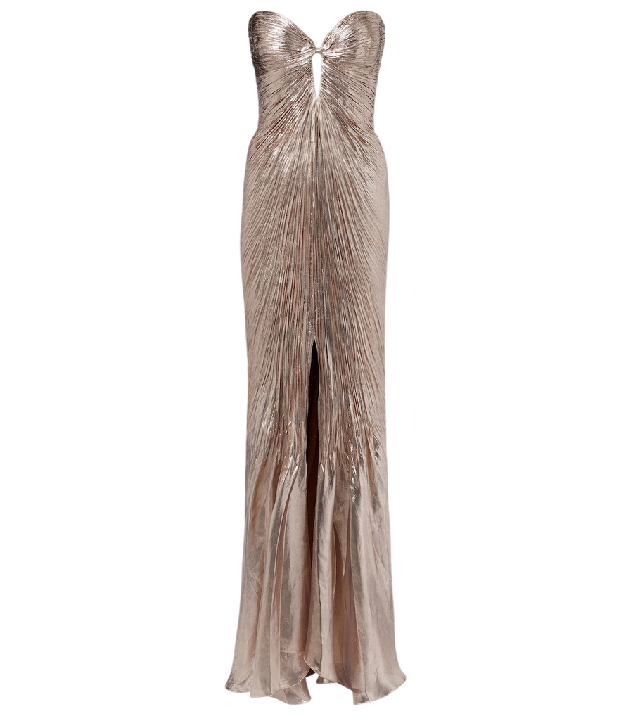 Maria Lucia Hohan Mirren silk-blend chiffon bustier gown
