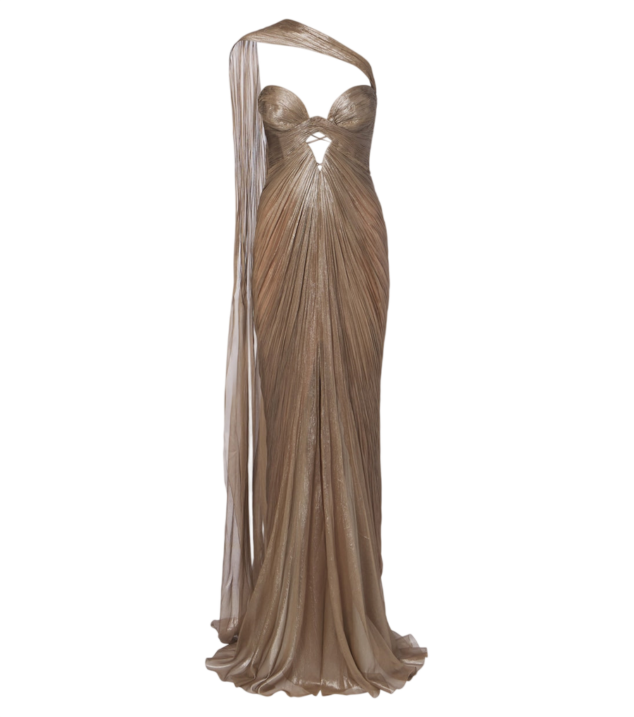 Maria Lucia Hohan Morgan scarf-detail pleated silk bustier gown