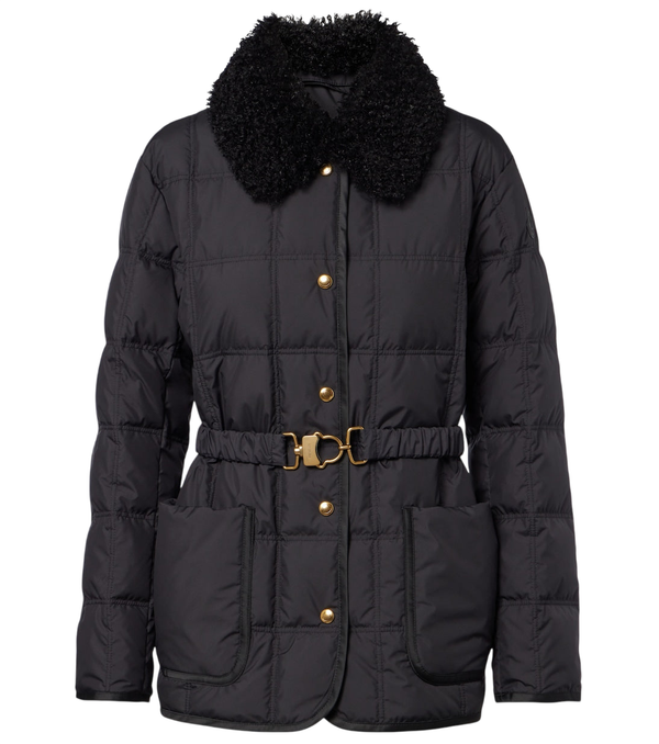 Moncler Cygnes down jacket