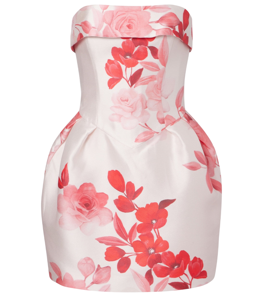 Monique Lhuillier Floral bustier dress