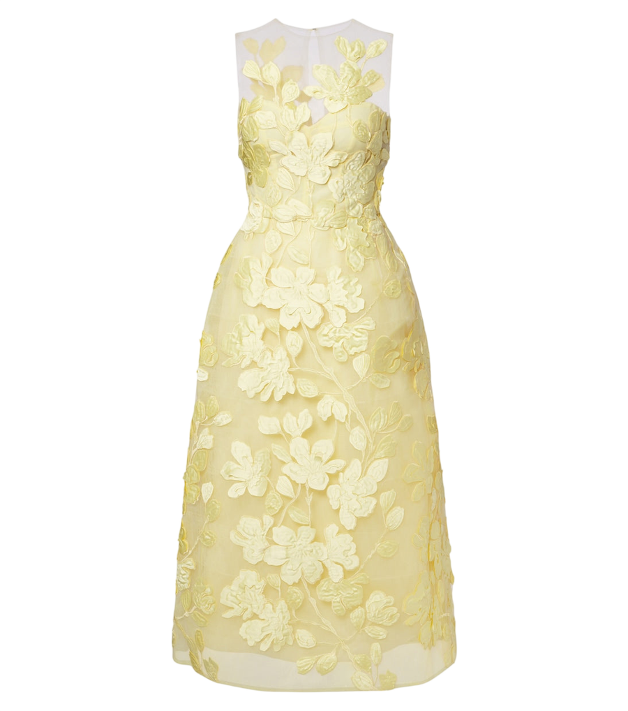 Vestido midi de tul con estampado floral de Monique Lhuillier