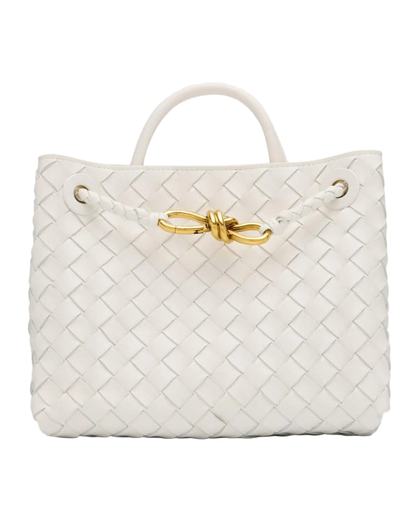Bottega Veneta Andiamo Small Leather Top-Handle Bag