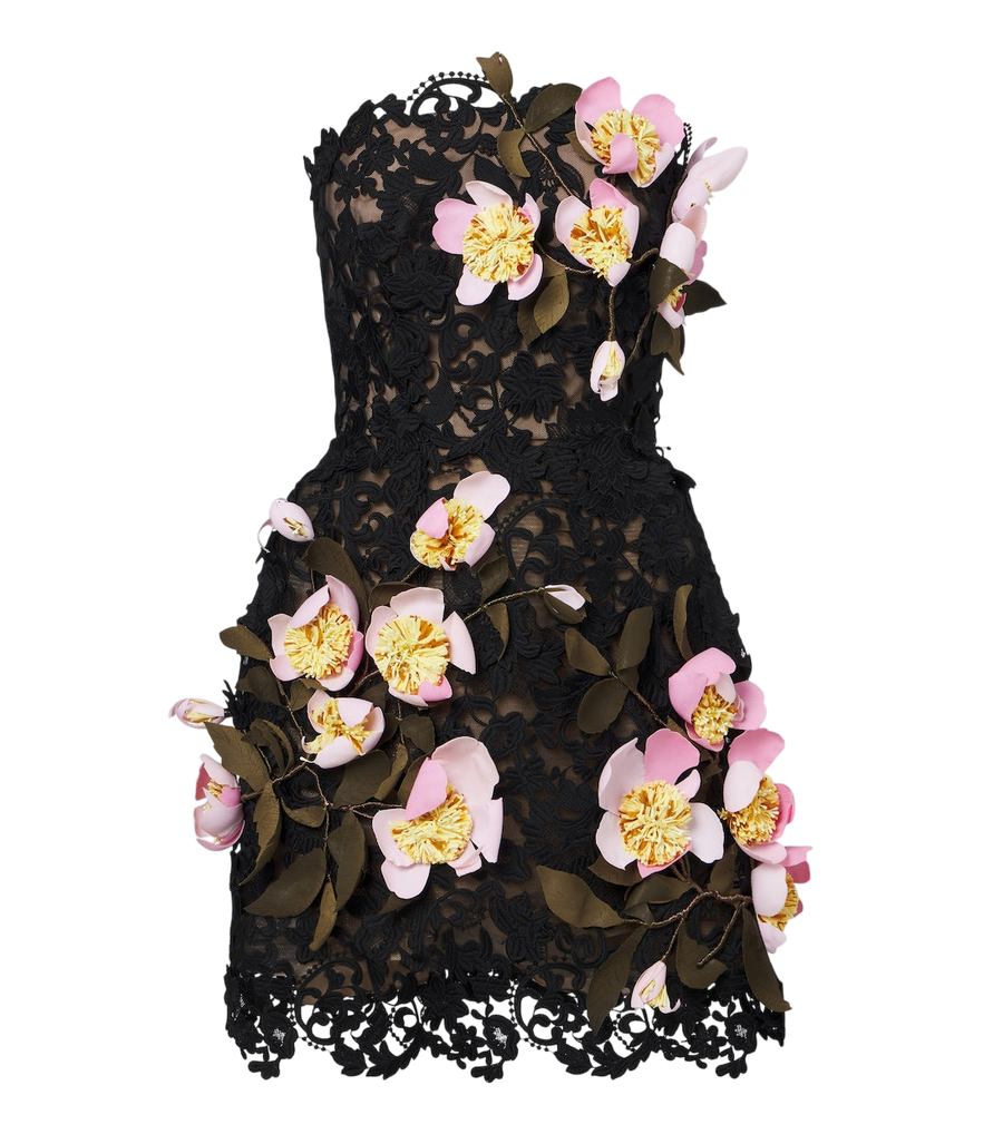 Oscar de la Renta Floral-appliqué guipure lace bustier dress