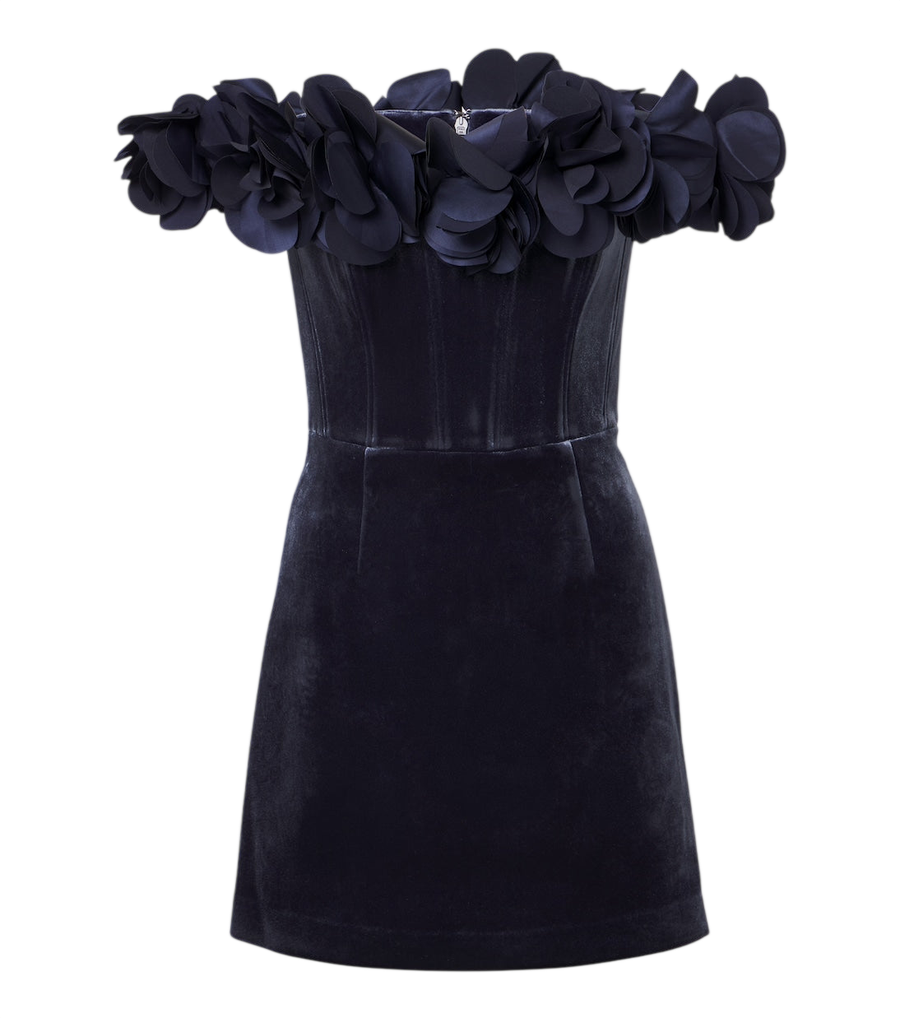 Rebecca Vallance Charles floral-appliqué velvet minidress