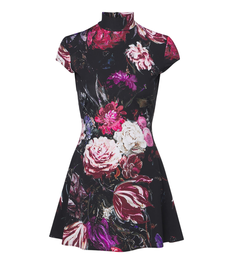 Roberto Cavalli Floral minidress