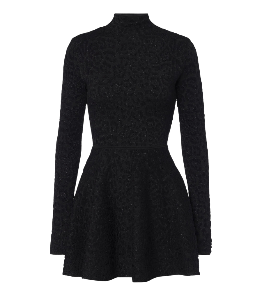 Roberto Cavalli Leopard-print minidress