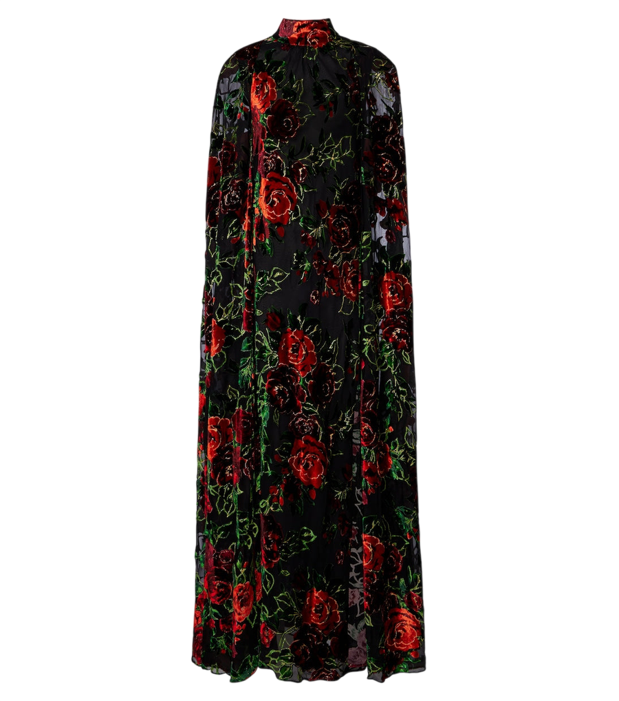 Robe longue en velours dévoré à motif floral Rodarte