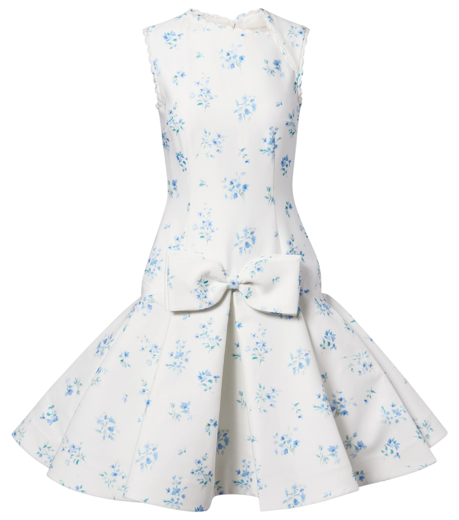 Shushu/Tong Floral cotton and silk minidress