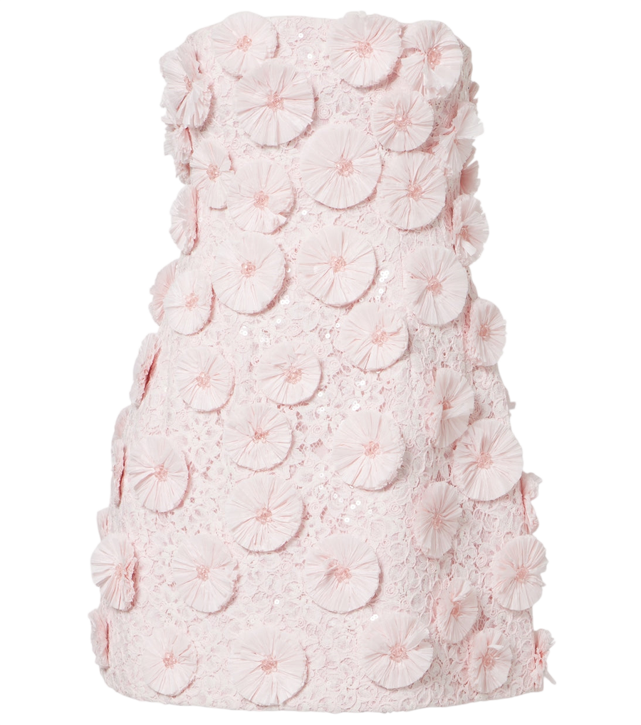 Simkhai Holland embellished bustier dress
