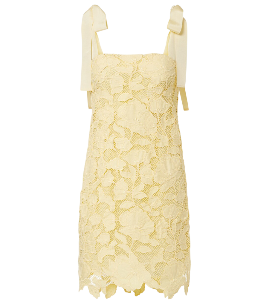 Mini-robe en dentelle Simkhai Marigolde