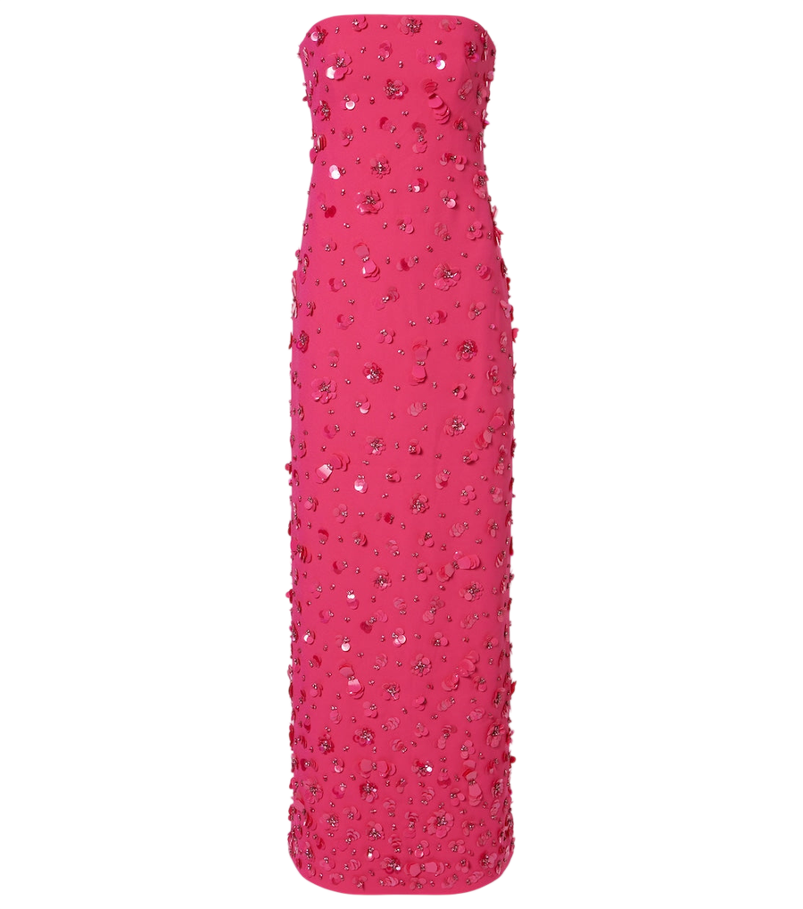 Simkhai Serafina embellished bustier gown