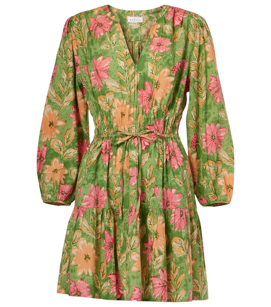 Velvet Floral cotton minidress