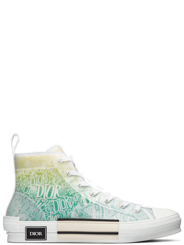DIOR B23 HIGH-TOP SNEAKER